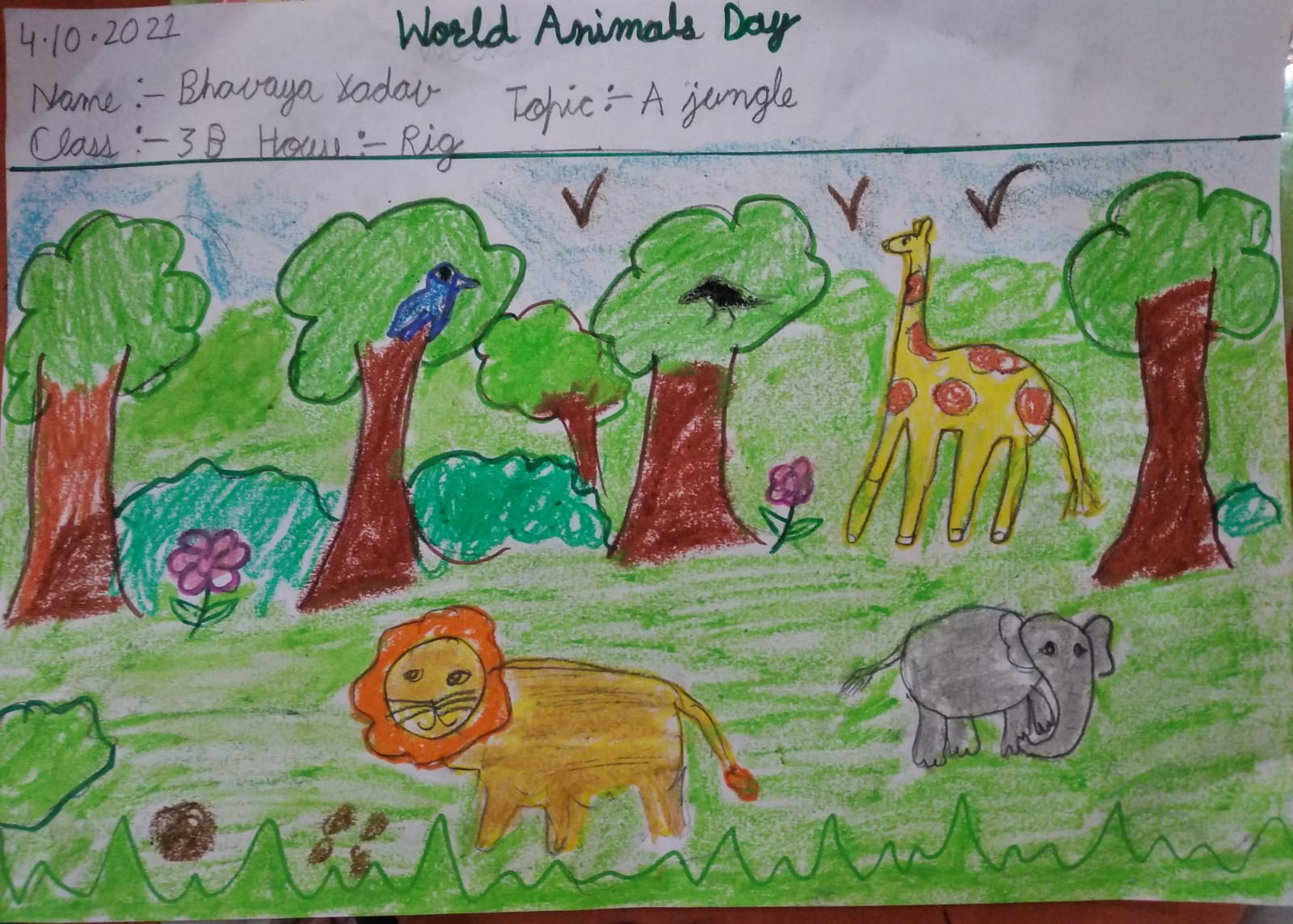 World Animal Day 2021